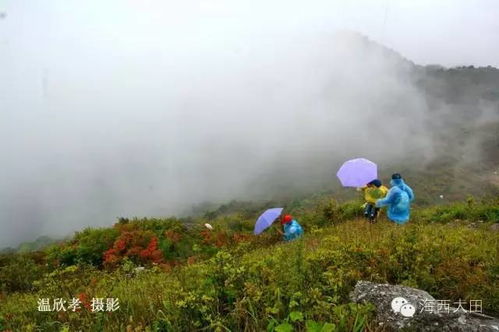 三明又多一旅游新去处 普禅山旅游景区开发项目签约,五年内完成投资