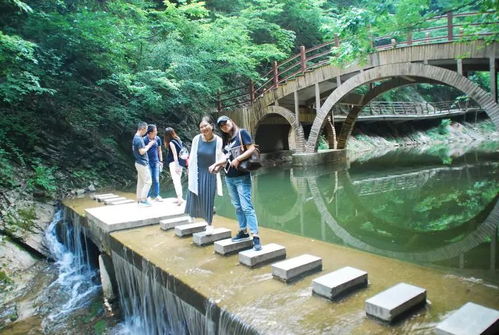借势宁商对口协作 扩展旅游推广平台