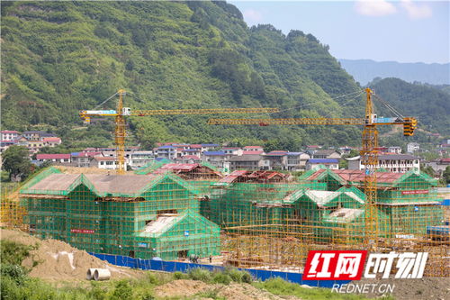 永定区 以高质量项目推动高质量发展
