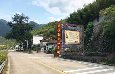 乡村振兴水利先行 | 遂昌水利双管齐下,强农惠农兴农_财经_网